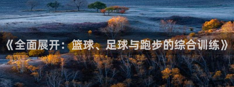 z66体育平台是正规的吗：《全面展开：篮球、足球与跑步的综合训练》