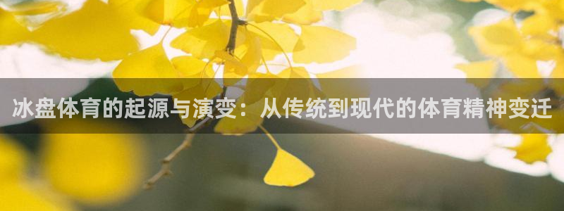 z66体育是怎么回事：冰盘体育的起源与演变：从传统到现代的体育精神变迁